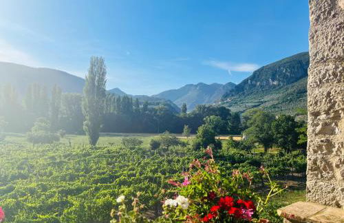 Agriturismo I Melograni - Foto 4