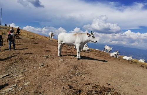 Il Rifugio di Vale - Foto 26