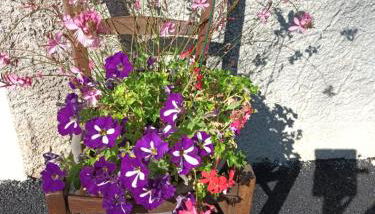 Gîte de La Saugiat - Foto 5