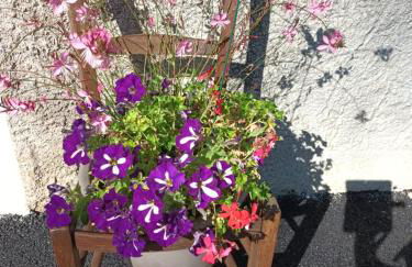 Gîte de La Saugiat - Foto 5