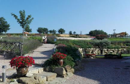 Agriturismo San Silvestro - Foto 56