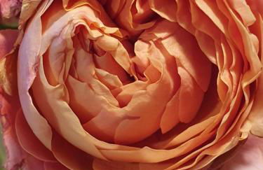 Ferienwohnung Sautter - Foto 17