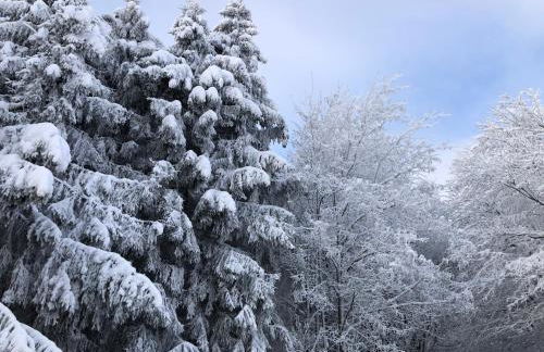 Fennies Hütte - Foto 56