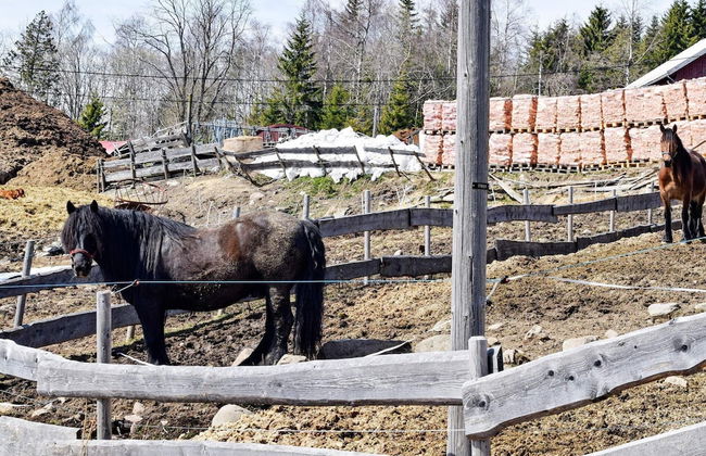 6 Person Holiday Home in Hurdal-by Traum - Foto 18