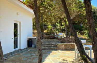 Villa Haass - Foto 51