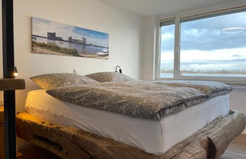 Sonnenschein - Foto 54