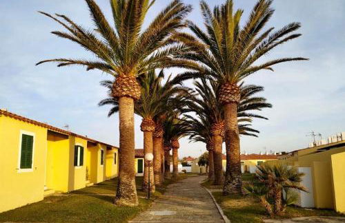 Apartamento 7 Palmeras - Foto 8