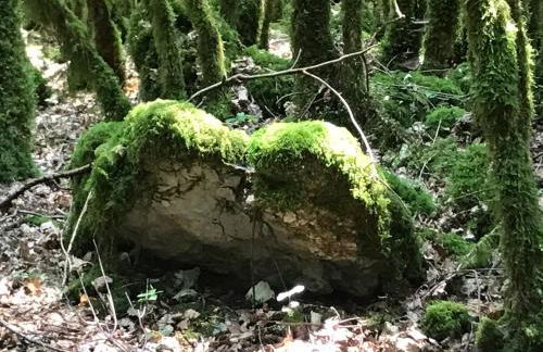 chambre et salle de bain privé s'ouvrant sur terrasse, jardin et cuisine d'été - Foto 17