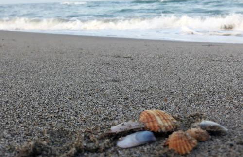 La Piccola Bellezza - Foto 37