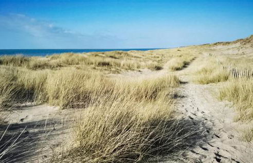 Cozy Home In Sartilly-Baie-Bocage - Foto 18