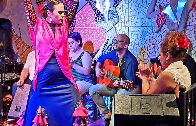 Cena con spettacolo di flamenco a Valencia - Foto 1