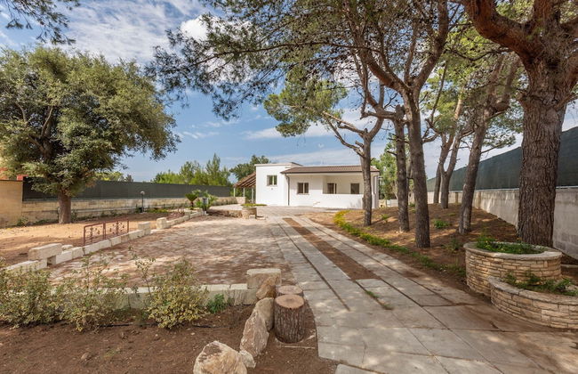 2488 Villa Gaia by Perle di Puglia - Photo 37