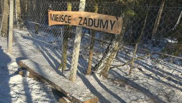 Zawilcowa Dolina - Foto 4