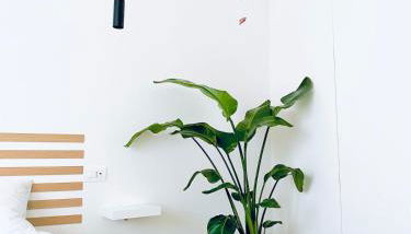 M4 WHITE Monolocale Moderno e Funzionale - Foto 3