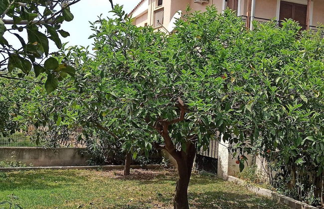 Lovely 2-bedroom Villa in Akrata, all Seasons! - Foto 41