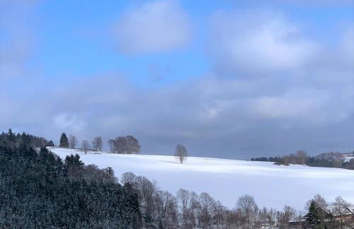 Ferienhaus direkt am Diemelsee-Heringhausen-Willingen-Toplage-Sauna-3 Schlafzimmer-2 Terrassen-109 qm-incl Wäsche - Foto 17