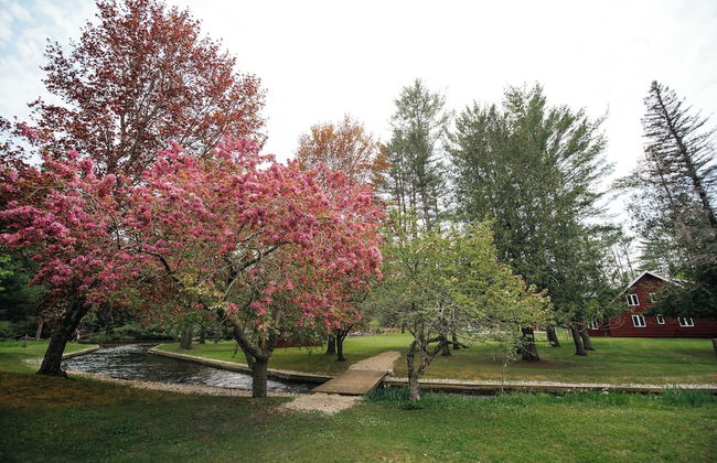 Grayling Gem Royal Stag Lodge - Foto 69