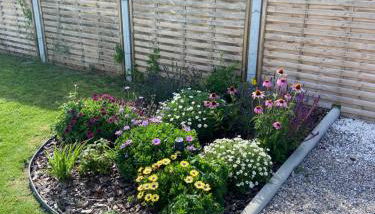 Les Épinettes - Foto 3, Garden