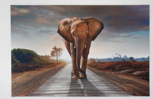 White House Apartments - Foto 17