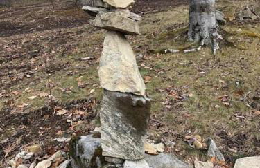 Fairytale: Hot Tub & Trout Stream & Petting Zoo? - Foto 61