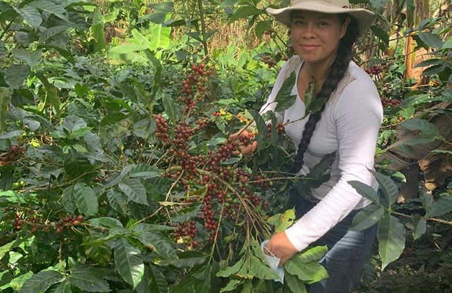 Coffee Tour of San Marcos de Tarrazu - Photo 2