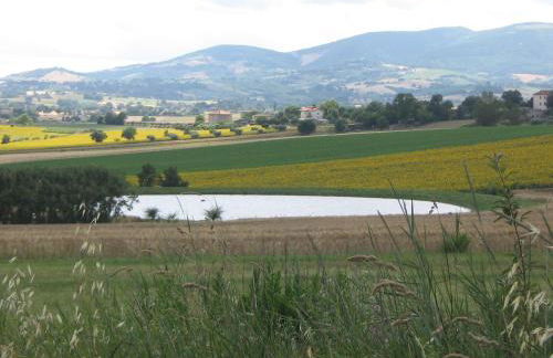 Il Giardino degli Ulivi - Foto 97