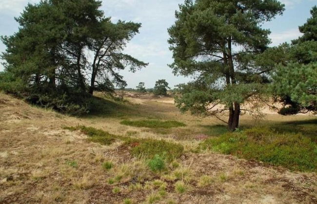 Holiday Home with Meadow View near Forests - Foto 32