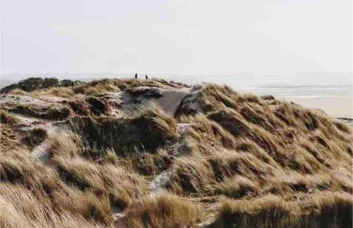 L'Olivera : entre évasion, sport et nature - Foto 24