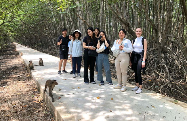 Excursión a Can Gio - Foto 4