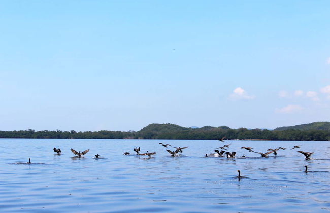 Escursione alla Laguna di Manialtepec - Foto 3