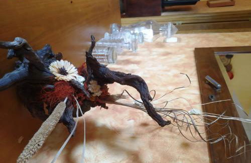 Pago de Yuste - Casa Rural Apartamentos - Foto 28