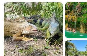 Bienvenidos a la Pequeña Selva de Legnalife - Foto 47