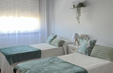 Estrela de mar - Foto 4