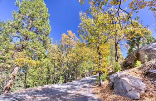 Forest Glen - Foto 6