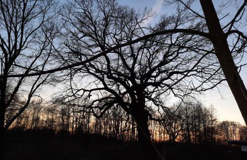 Ostseerauschen - Foto 60