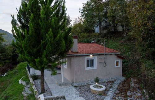 PLATS Traditional Living - Foto 7