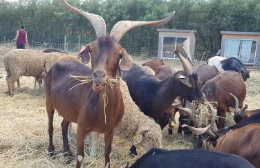 L'Odyssée provençale, un duplex de charme de 2 chambres au pied du village médiéval de Bormes-les-Mimosas, offrant des prestations haut de gamme et une superbe vue sur le Massif des Maures - Foto 50
