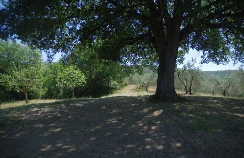 Borgo Buciardella - Foto 34