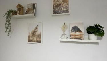 Apartamento Vitelio - Foto 5