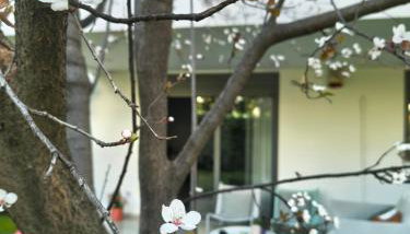 The elegant urban apartment - Foto 5