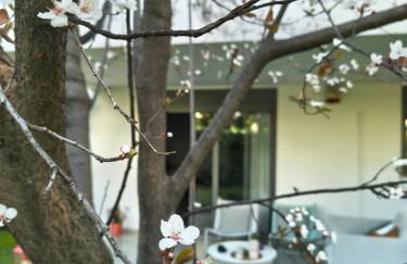 The elegant urban apartment - Foto 5