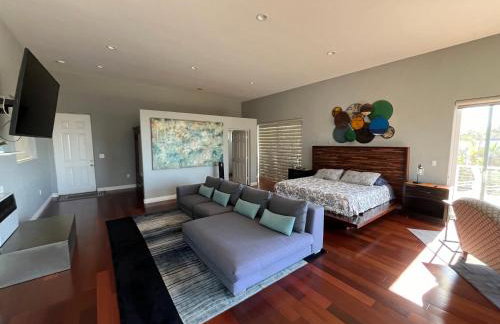 Architectural Gem La Jolla Oceanview surf and golf - Foto 29