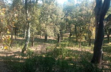 Casa Monte Los Peñasquitos - Photo 44