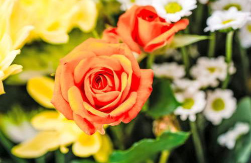 Holiday Home Kincraig by Interhome - Foto 12