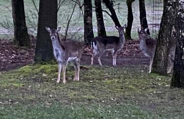 Ferienhof Thele Wohnung OG - Photo 21