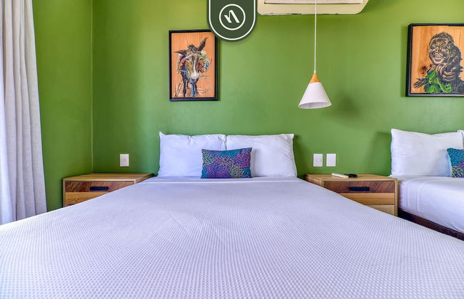 La Japihua in Jalisco - Foto 57