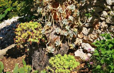 Apartman Sissy - Photo 46