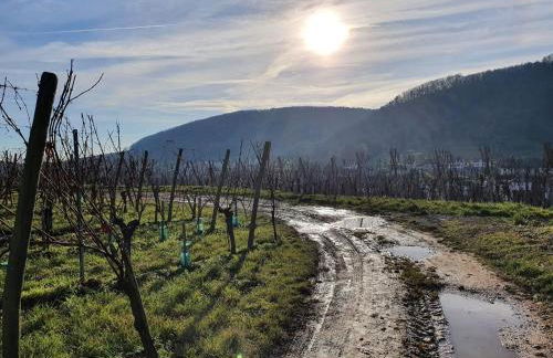 Un petit coin d’Alsace - Foto 30