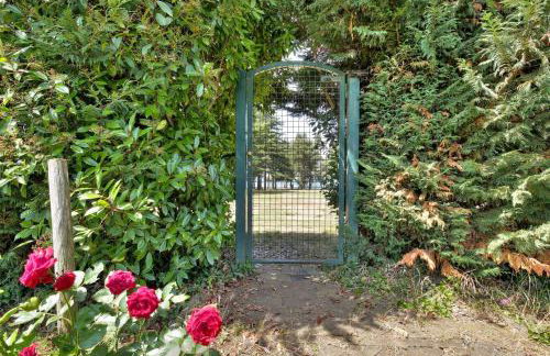 Studio Apartment ARES - Monterol - Foto 2