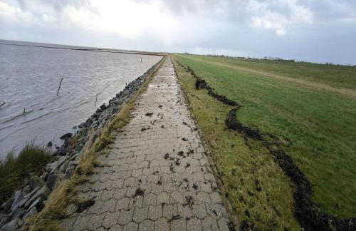 Greetjehaus in Westerbur - Foto 19